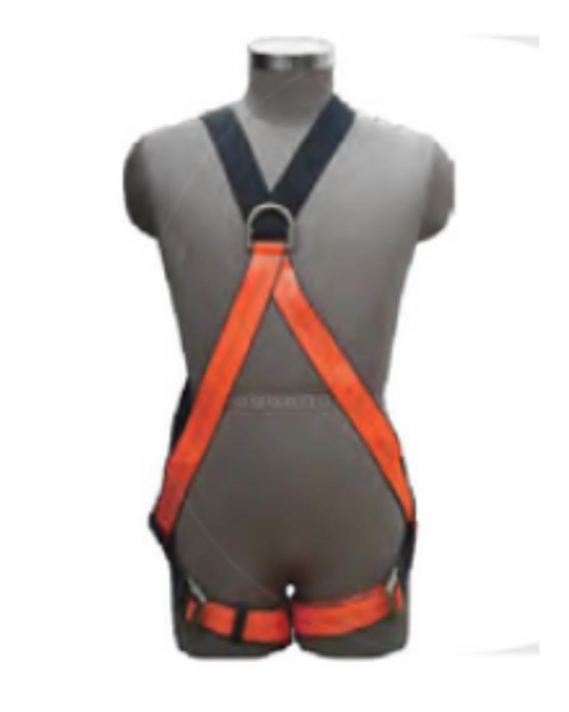 Image gallery image
